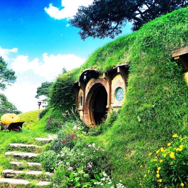 New Zealand Tour Packages 2023