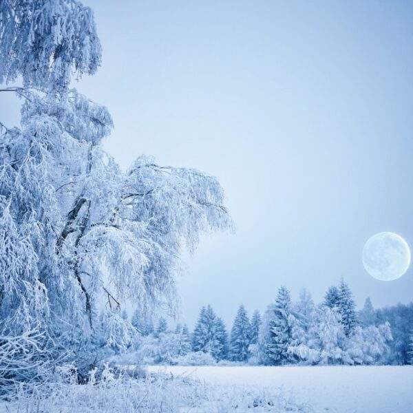 Czech Republic Tour Packages - Luxury Vacations and Holidays