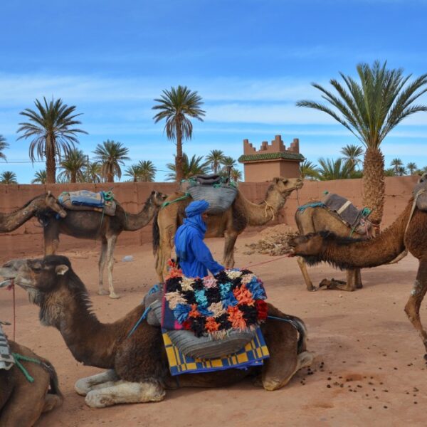 Dubai Family Package Tour