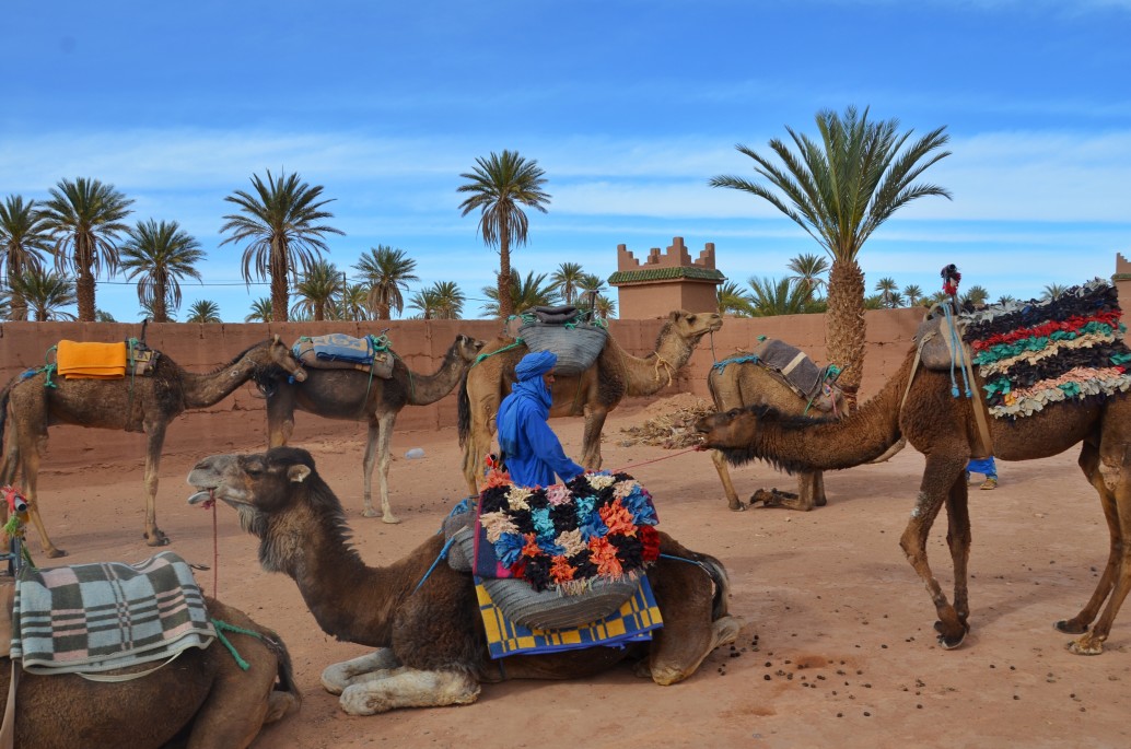 Dubai Family Package Tour